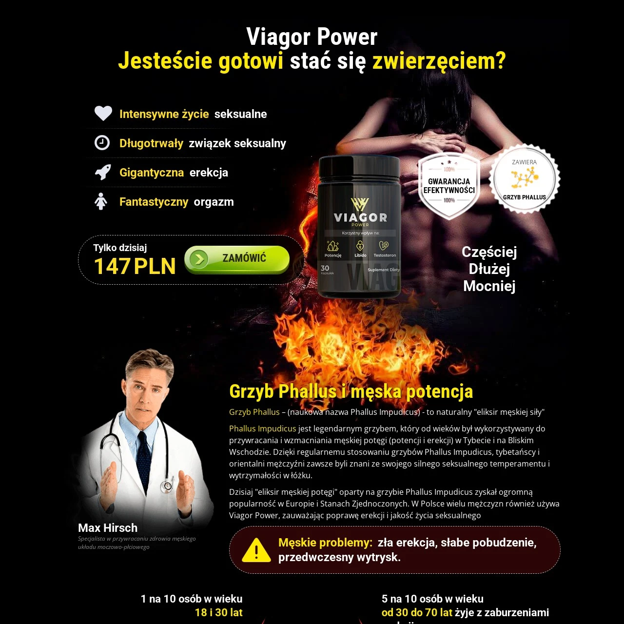 Descrição da imagem